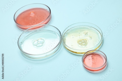 Petri dishes with samples on light blue background