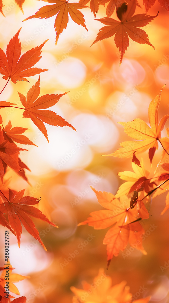 Vibrant Autumn Maple Leaves with Golden Sunlight Vibrant Autumn Maple Leaves with Golden Sunlight