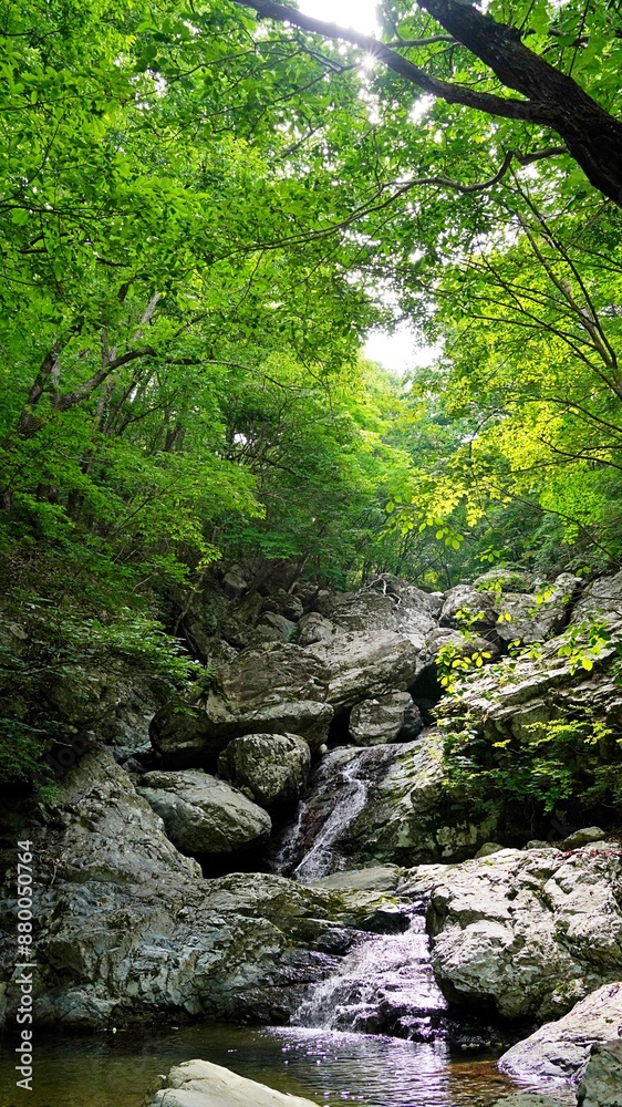 Beautiful summer scenery of Bogyeongsa Valley in Korea Beautiful summer scenery of Bogyeongsa Valley in Korea