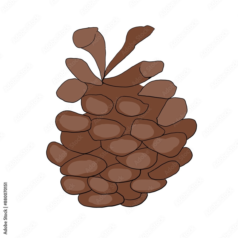 Brown Christmas tree cone, color illustration Brown Christmas tree cone, color illustration