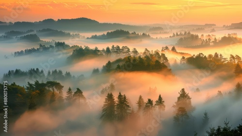 A breathtaking view of sunrise casting golden hues over misty forest hills, creating a serene and magical landscape.