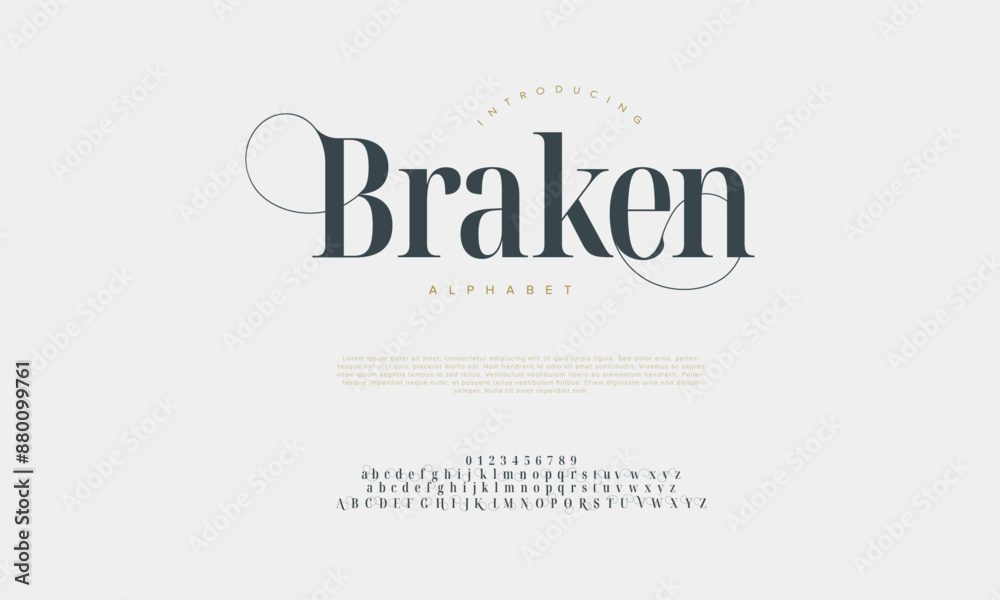 Braken premium luxury elegant alphabet letters and numbers. Vintage wedding typography classic serif font decorative vintage retro. creative vector illustration Braken premium luxury elegant alphabet letters and numbers. Vintage wedding typography classic serif font decorative vintage retro. creative vector illustration