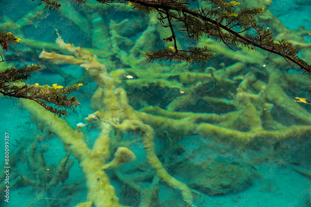 Fototapeta premium abstract watercolor background with space for text