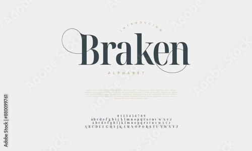 Braken premium luxury elegant alphabet letters and numbers. Vintage wedding typography classic serif font decorative vintage retro. creative vector illustration