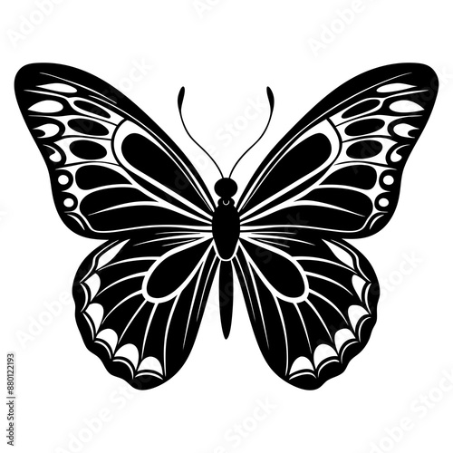 butterfly vector silhouette illustration and svg 