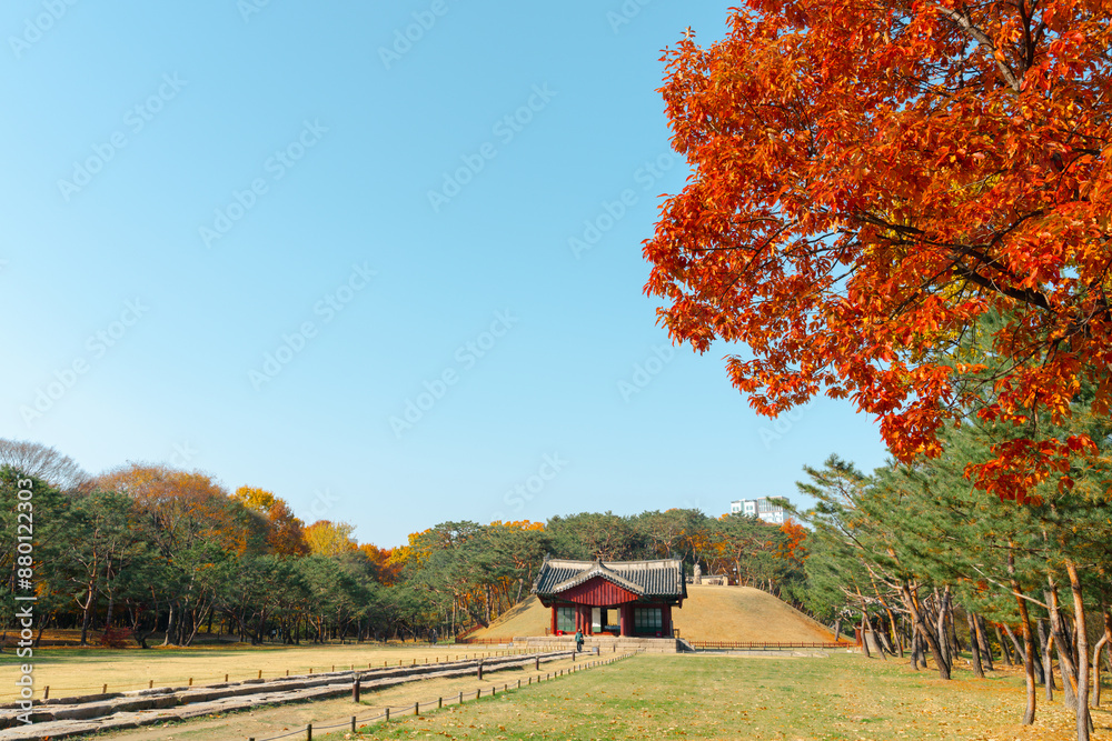 Autumn of Seolleung and Jeongneung Royal Tombs in Seoul, Korea