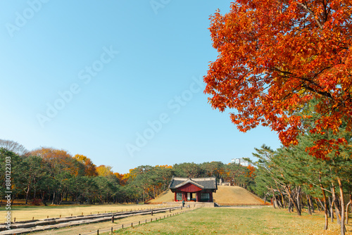 Obraz na płótnie Autumn of Seolleung and Jeongneung Royal Tombs in Seoul, Korea w salonie