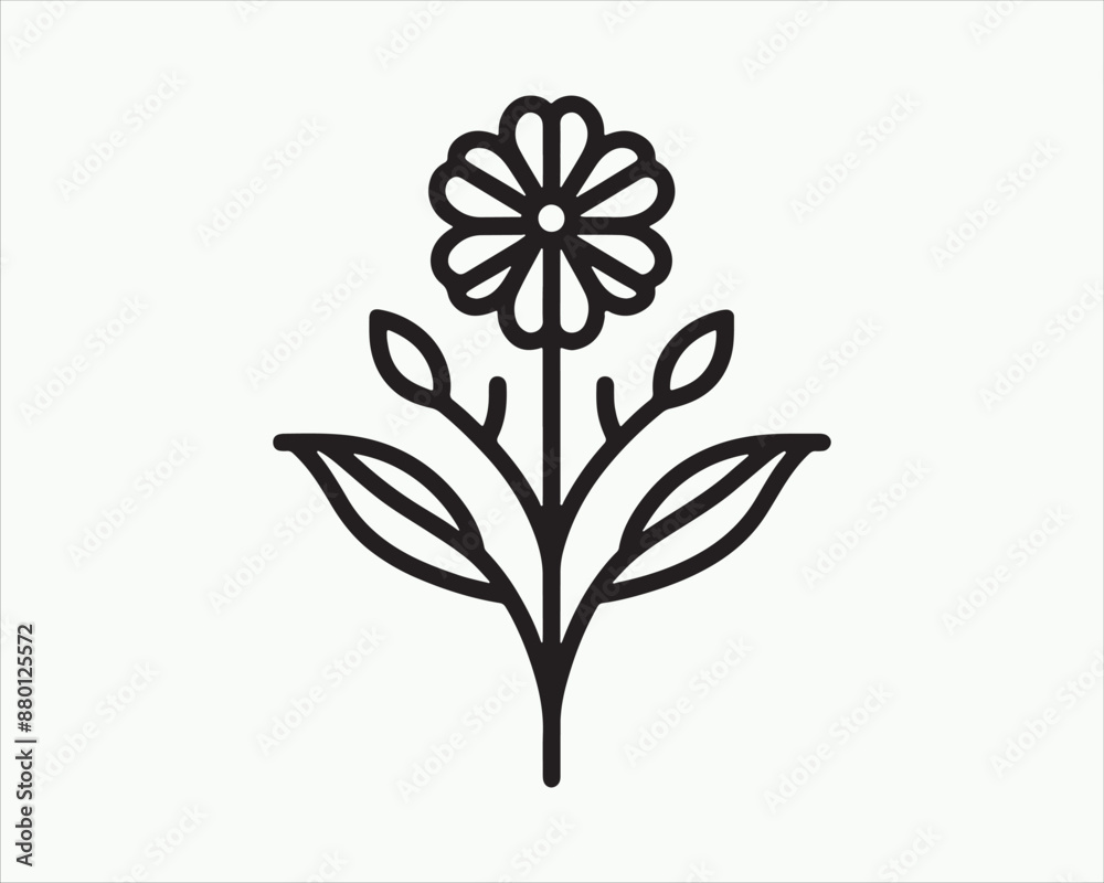 illustration of a flower illustration of a flower