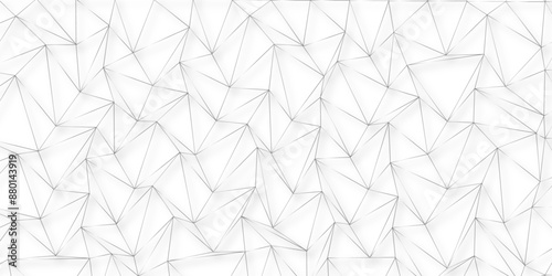 Abstract elegant background black line texture. Abstract black geometric overlapping hexagon pattern abstract futuristic background design. data concept. you can use poster banner vector illustration