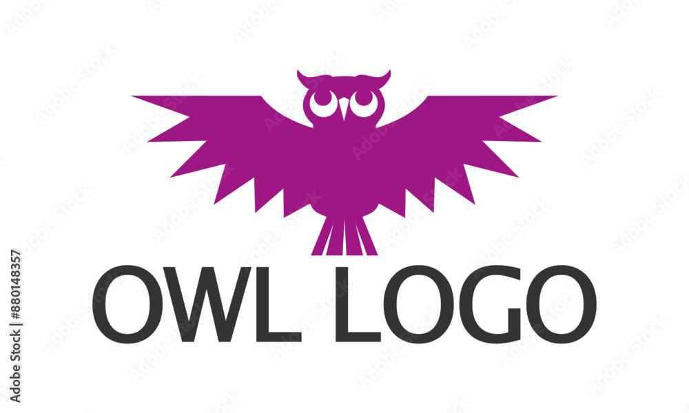 Obraz premium feathers, fowl, owl logo, abstract logo, animal logo, creative logo design