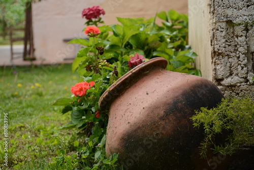 old pot in garden in country house in Ecuador