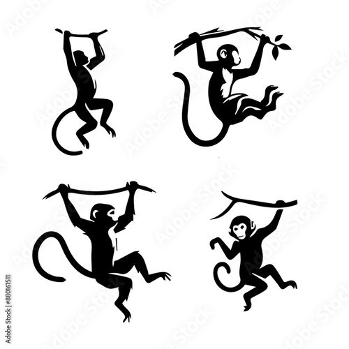 Monkey  Swinging