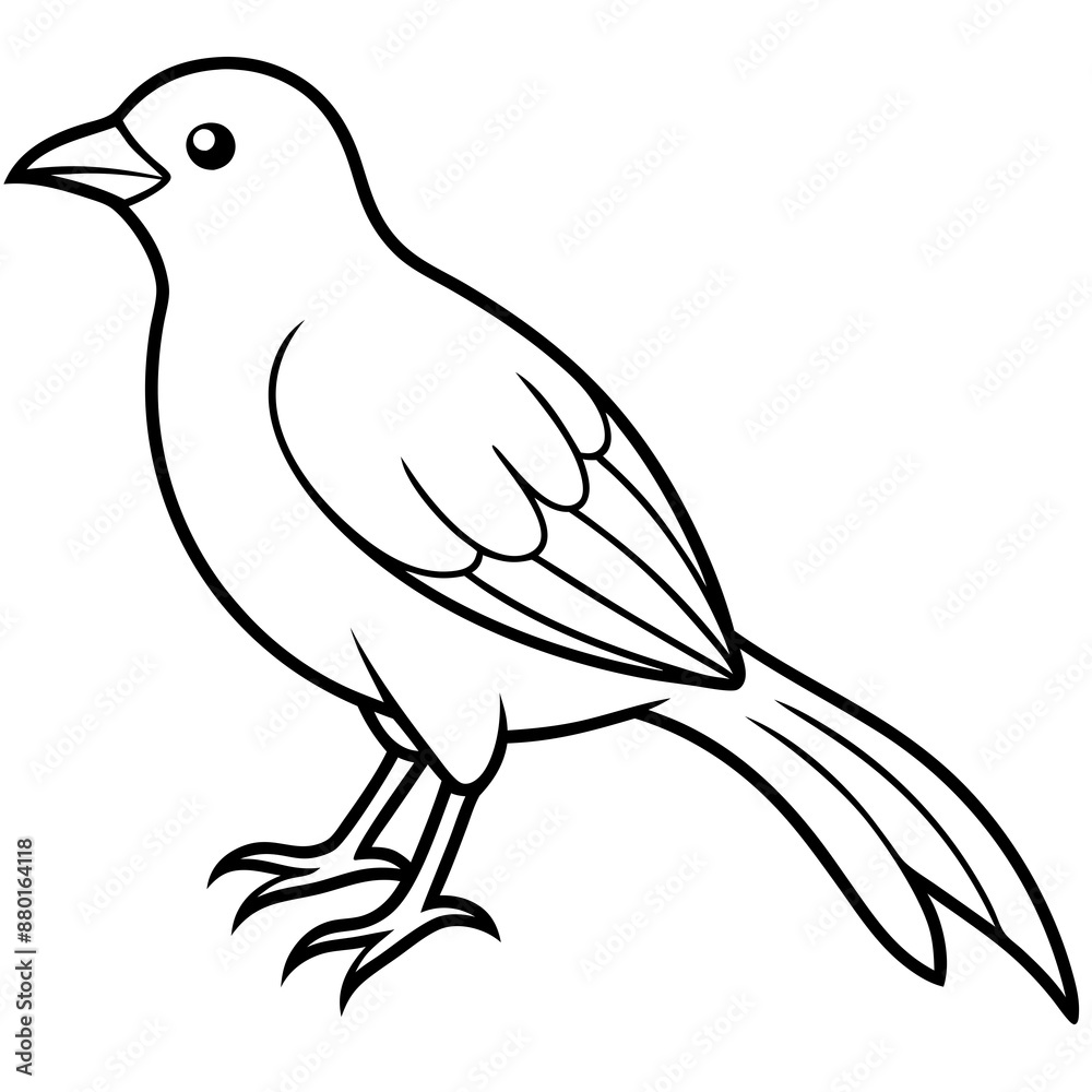 Fototapeta premium illustration of a bird vector line art