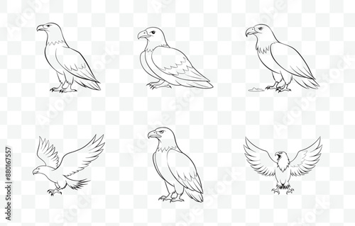 Wallpaper Mural Print Exquisite Collection of Detailed Eagle Line Art Vector Illustrations for Creative Design and Artistic Projects Torontodigital.ca