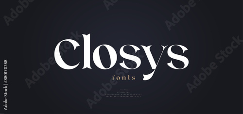 Elegant alphabet letters font brand logo. Typography oriental luxury classic modern serif italic fonts decorative wedding vintage retro logos. vector illustration