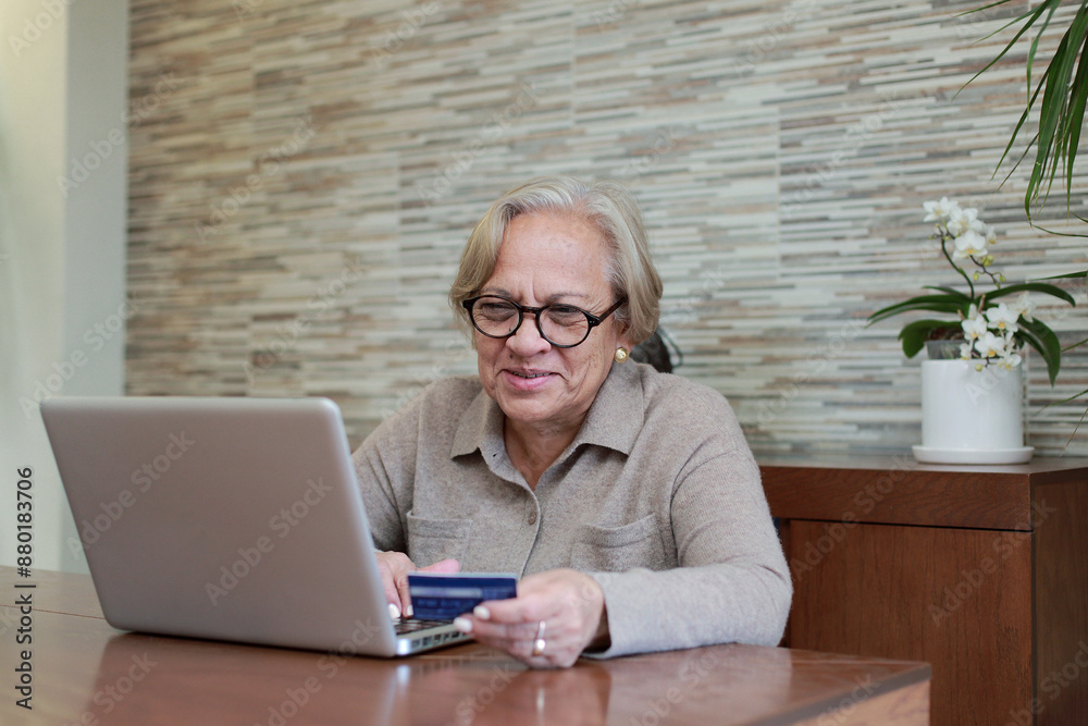 Grandmother buys on line with credit card Grandmother buys on line with credit card