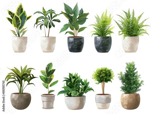 Collection of houseplants in stylish pots, ideal for bedroom or living room decor, minimal and natural, transparent PNG background © Khritthithat