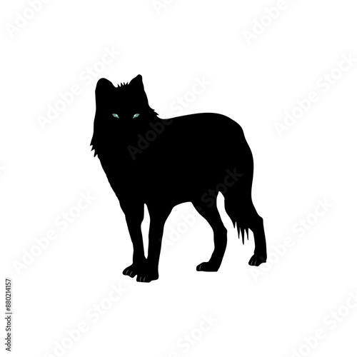 Wolf standing silhouette or vector on white background 