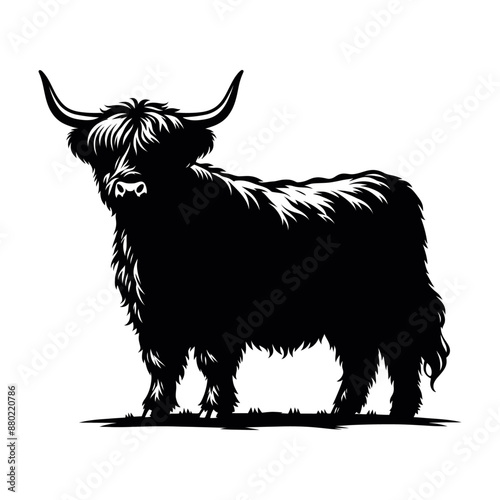 highland cow silhouette vector