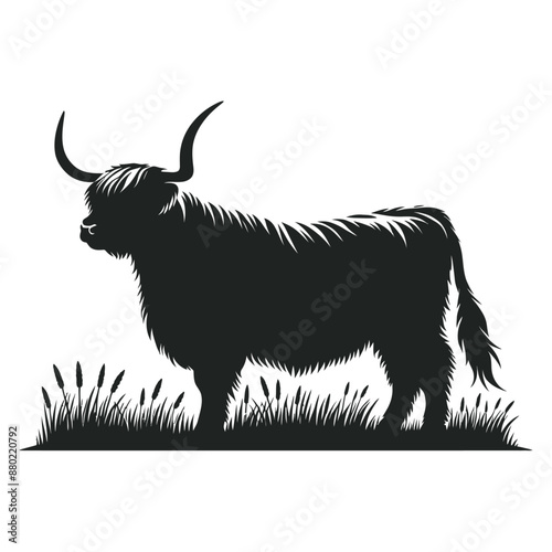 highland cow silhouette vector