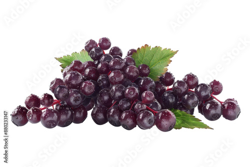 Mouth-Watering Elderberry Fruit Isolated On Transparent Background