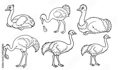 ostrich drawing using only lines, line art to color and paint. Children's drawings.