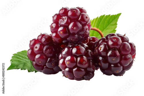 Delicious Silverberry Close-Up Isolated On Transparent Background