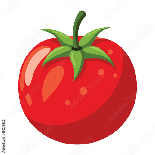 Illustration of  fresh tomato Isolated