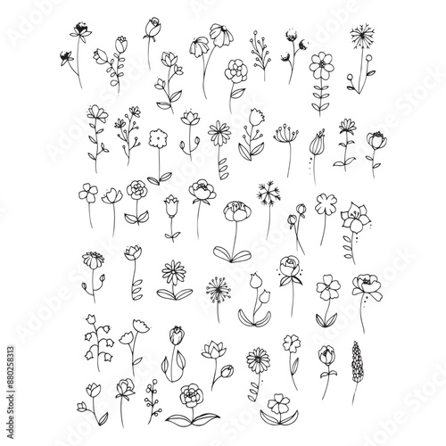 set of floral elements