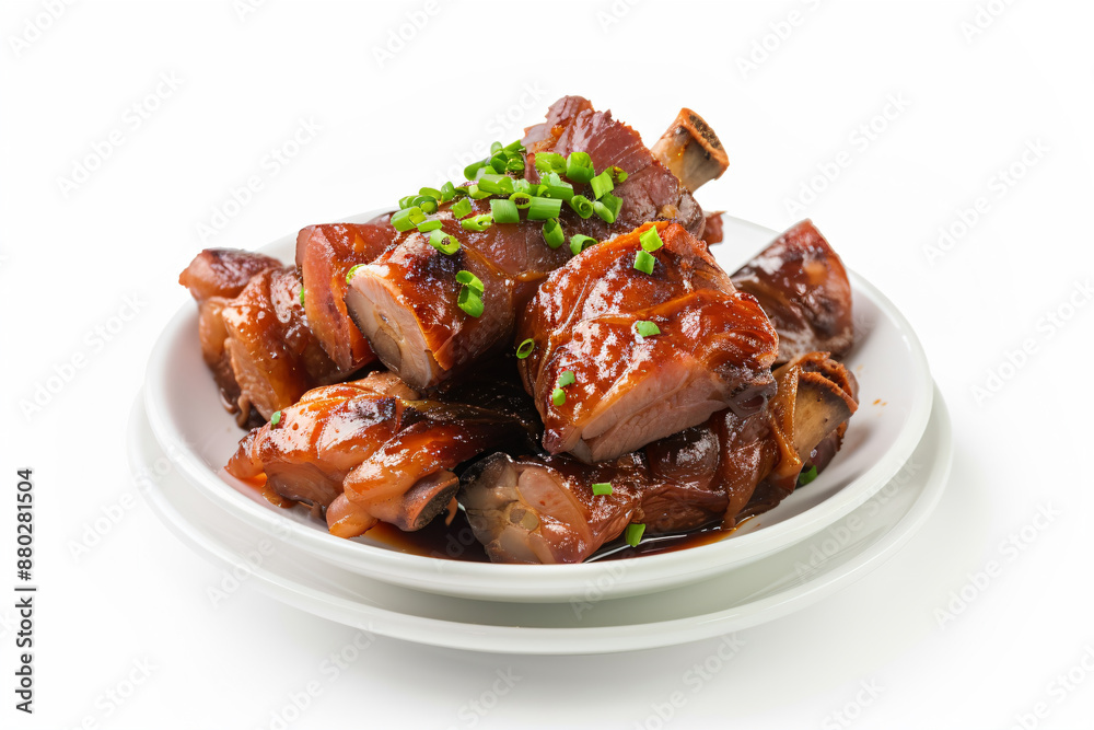 a plate of meat with sauce and green onions a plate of meat with sauce and green onions