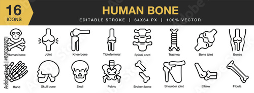 Set of 16 Human Bones icon set. Editable Stroke Icon Collection. Includes skull, broken bone, hand bone, spinal cord, elbow, and More. Outline icons vector collection.