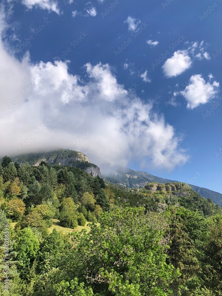 Naklejka premium Paisaje de bosque desde la colina con verdes pinos y árboles. Cielo lleno de nubes que atraviesan las montañas.