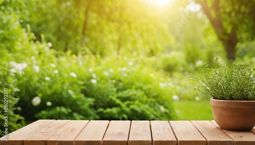 Fototapeta Naklejka Na Ścianę i Meble -  blank wooden table on green summer park background banner
