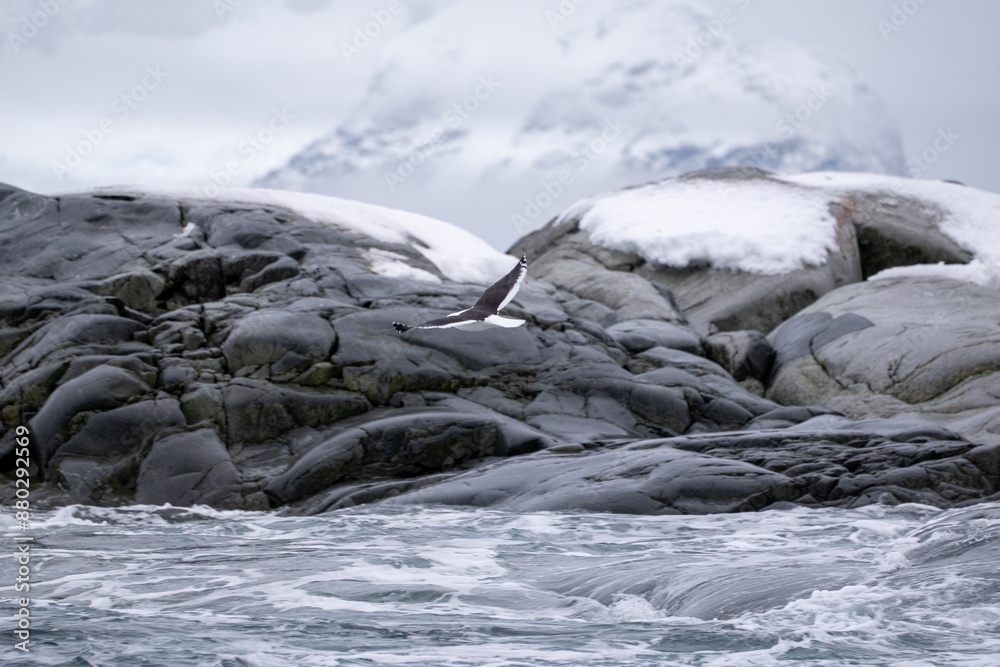 Antarctica mountains and sea. South Pole. Antarctica landscape.