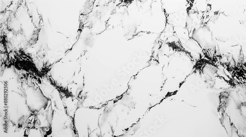 A close-up shot of a black and white marble wall with intricate patterns