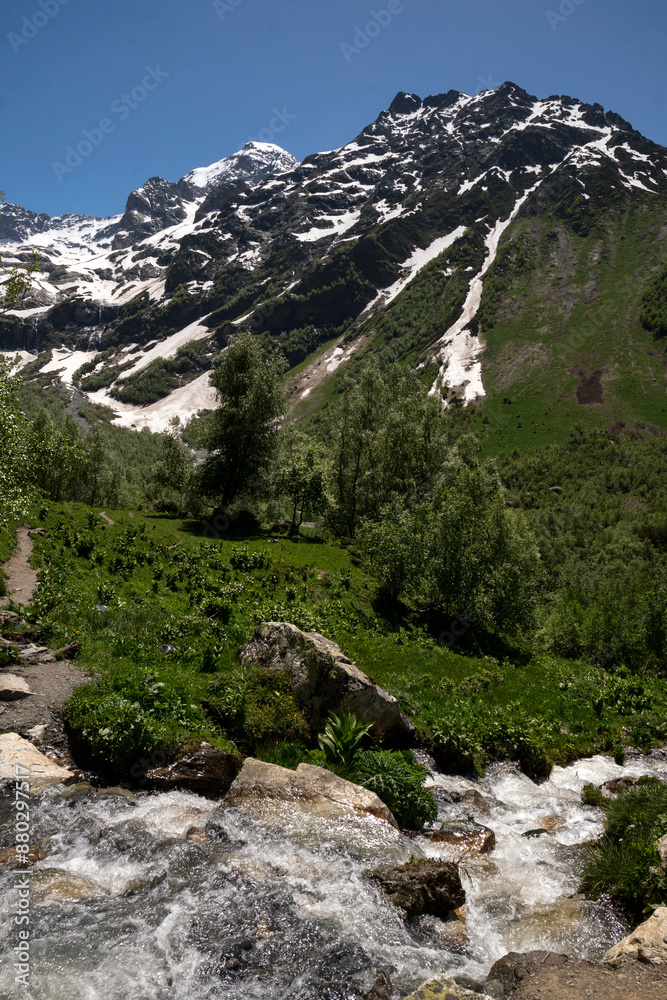 Obraz premium Mountain stream with rocks and green plants