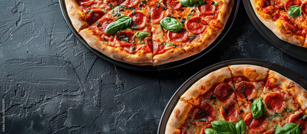 High-resolution photo featuring two pizzas on a pan with copy space image available.