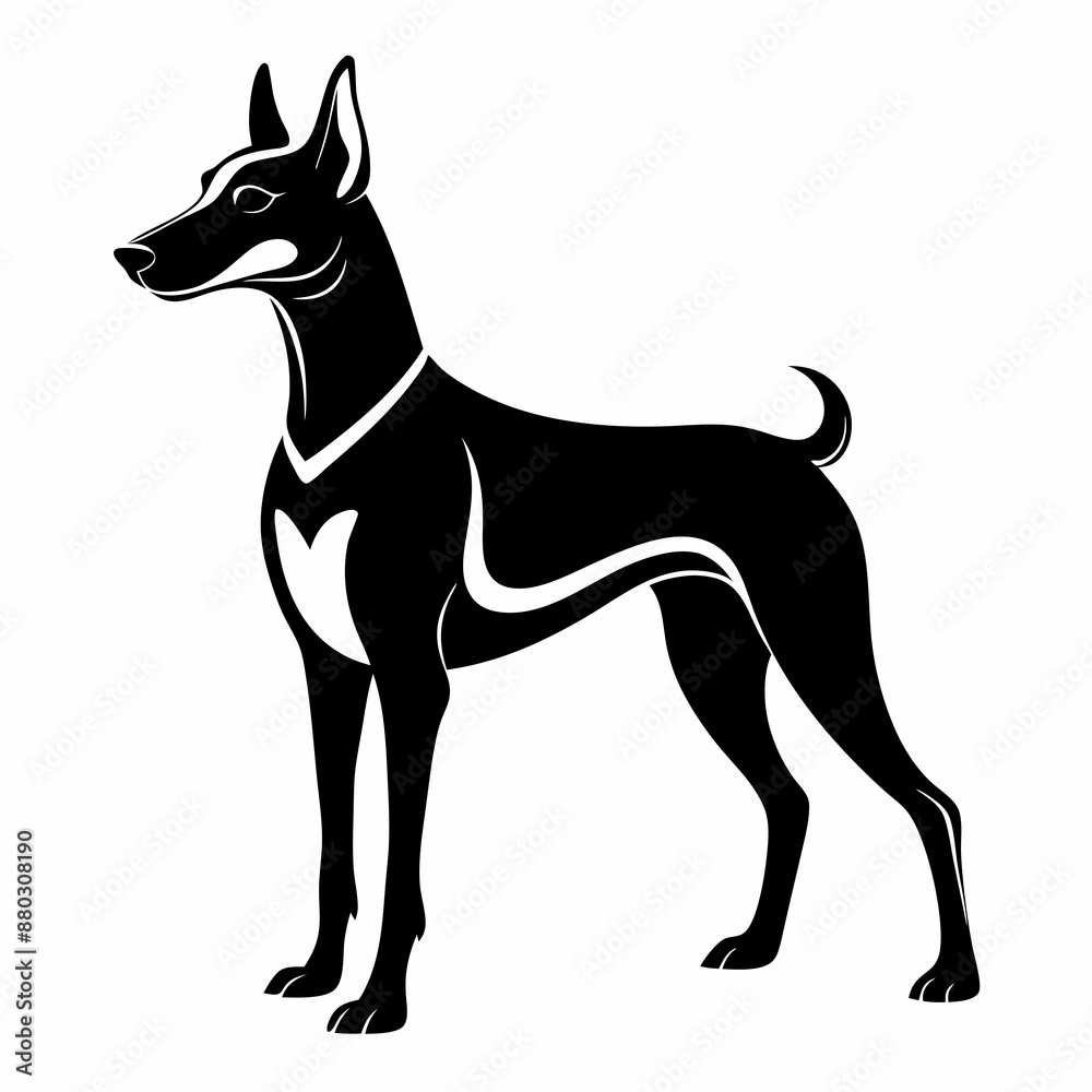 black dog isolated on white black dog isolated on white