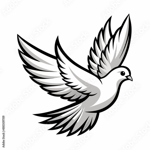 dove of peace vector