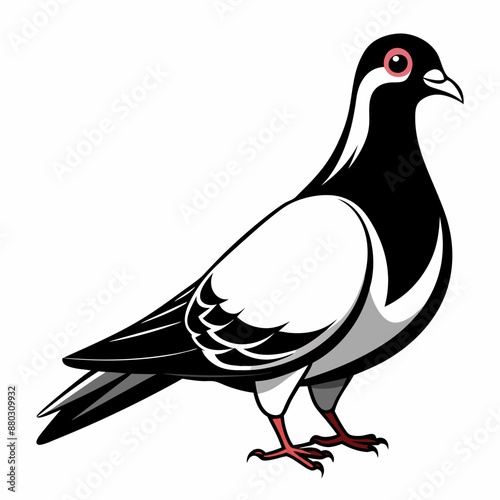illustration of a pigeon black and white vactor