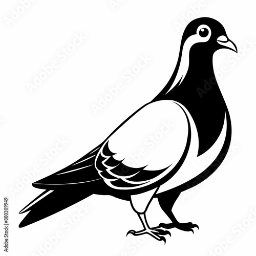 dove of peace vector