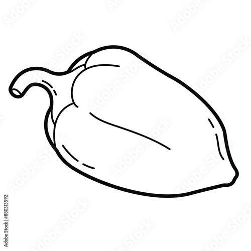 Sweet bell pepper. Simple outline illustration, isolated on white background. Design element