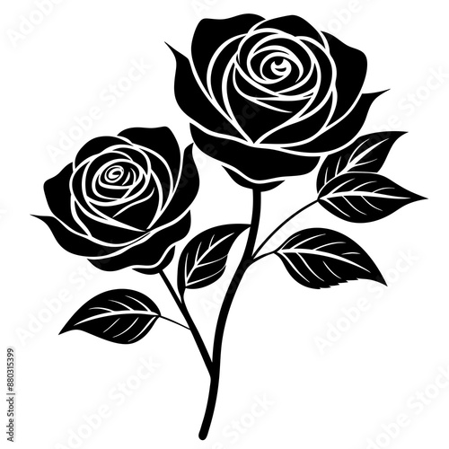 Black rose vector illustration