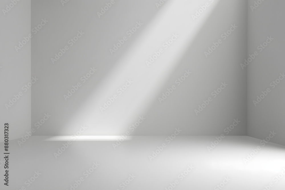 Abstract empty white and gray gradient soft light background of studio room for art work design. Abstract empty white and gray gradient soft light background of studio room for art work design.