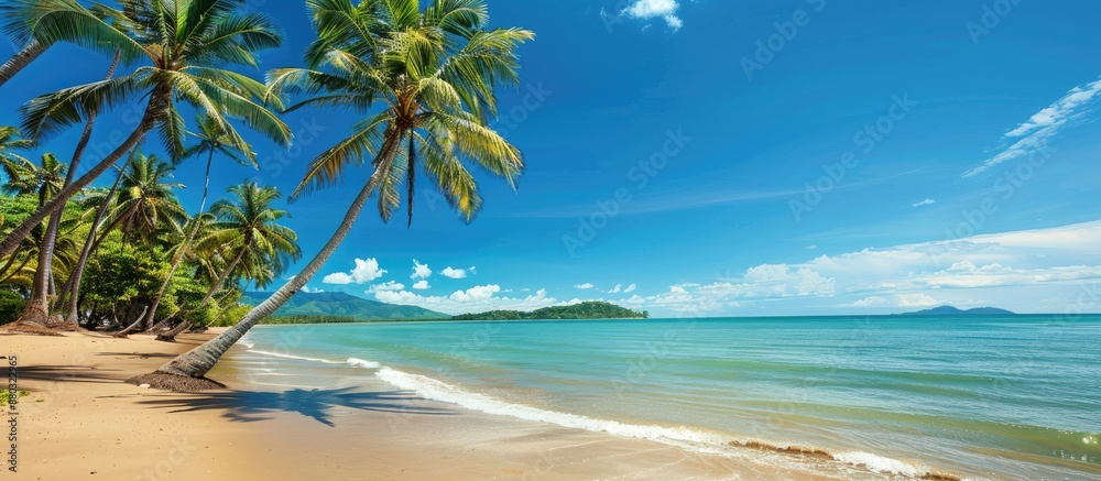 Palm Cove featuring palm trees by the beachfront with copy space image. Palm Cove featuring palm trees by the beachfront with copy space image.