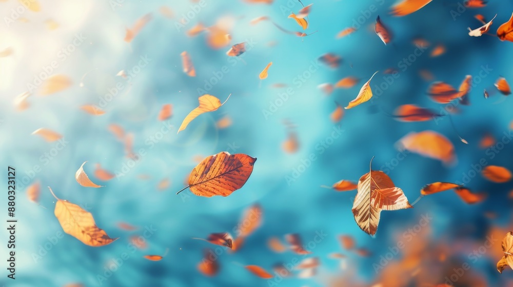 Autumn leaves swirling in vibrant blue sky magic Autumn leaves swirling in vibrant blue sky magic