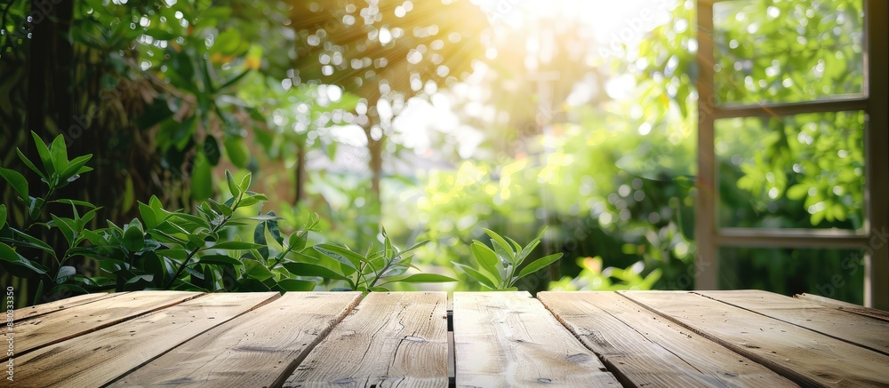 Blurry green garden background visible on wooden table by a window suitable for product display montage with copy space image Blurry green garden background visible on wooden table by a window suitable for product display montage with copy space image