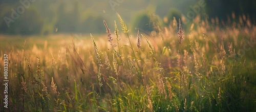 Scenic Ontario landscape ph...