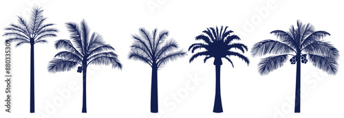 Palm Tree, Palm Tree silhouette. Coconut tree date palm set tropical trees