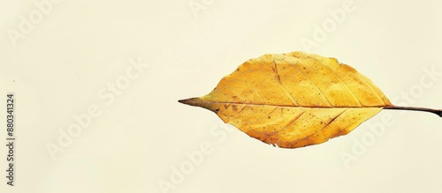 A vintage yellow leaf set a...